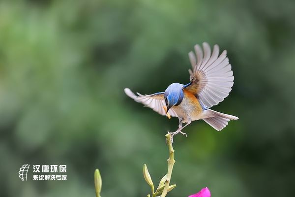 �ؑc�h�ƭh(hu��n)���O(sh��)�䣺���֕r(sh��)��(ji��)