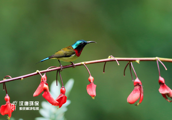 �ؑc�h�ƭh(hu��n)���O(sh��)�䣺���B(ni��o)��